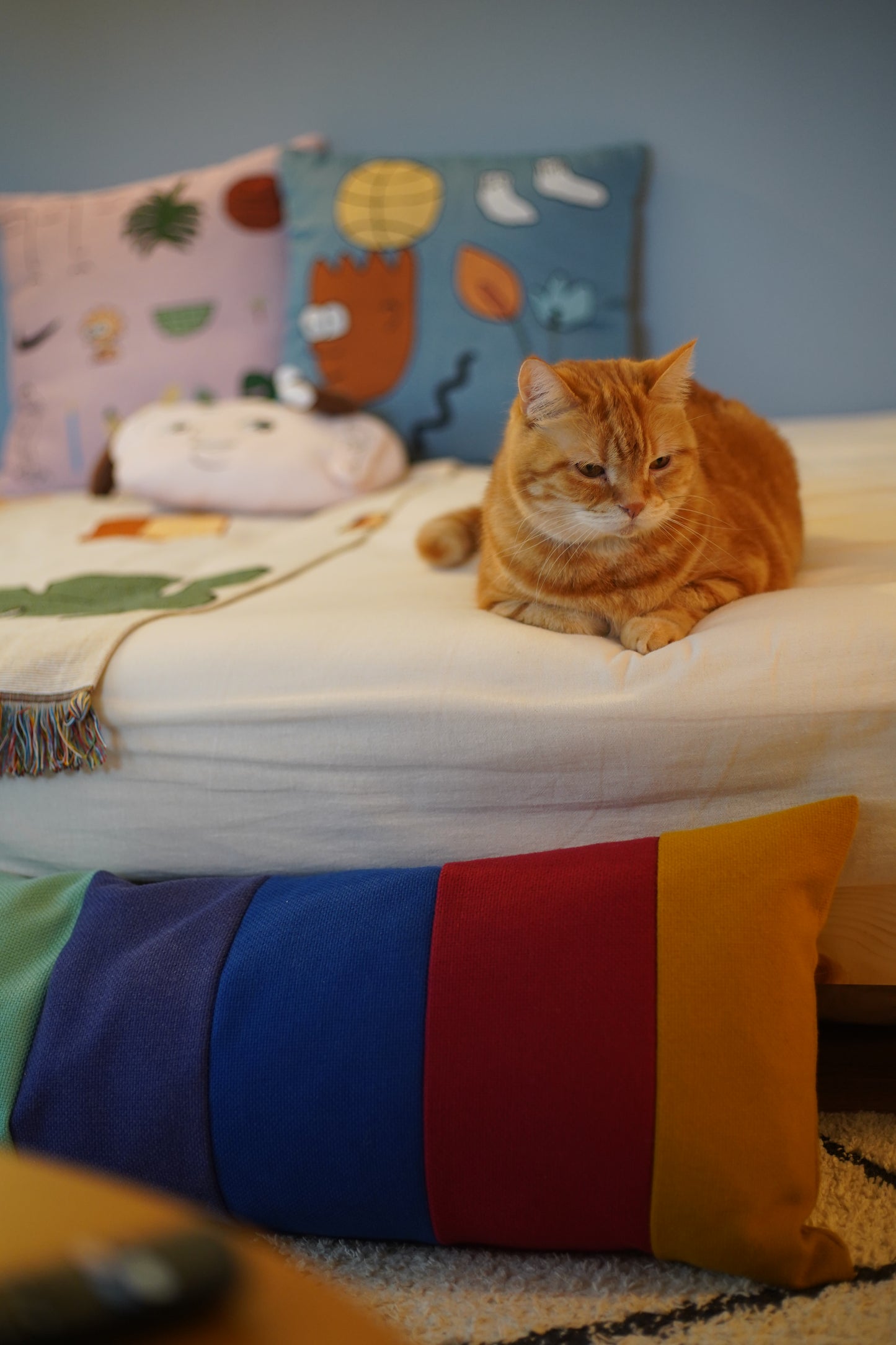 Color Parette Cushion